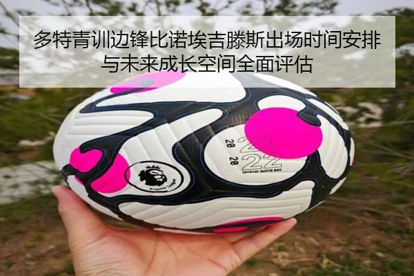 多特青训边锋比诺埃吉滕斯出场时间安排与未来成长空间全面评估