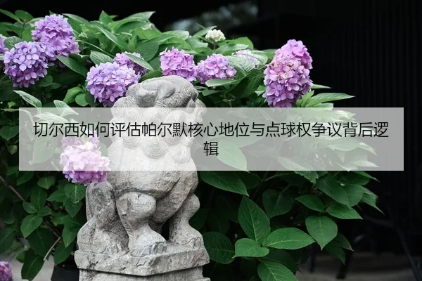 切尔西如何评估帕尔默核心地位与点球权争议背后逻辑